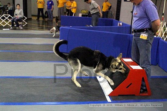 MCRD Unplugged Flyball Tournement<br />March 21st, 2010