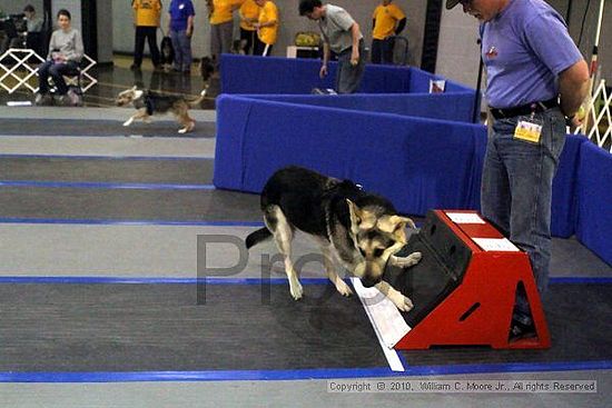 MCRD Unplugged Flyball Tournement<br />March 21st, 2010