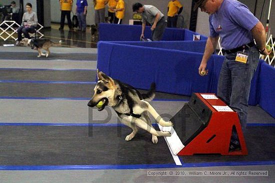 MCRD Unplugged Flyball Tournement<br />March 21st, 2010