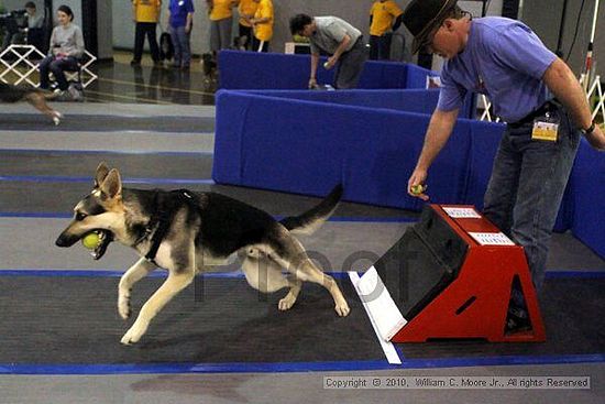 MCRD Unplugged Flyball Tournement<br />March 21st, 2010