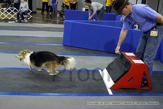 MCRD Unplugged Flyball Tournement<br />March 21st, 2010