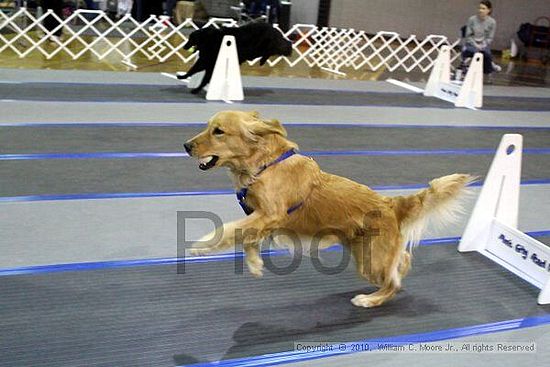 MCRD Unplugged Flyball Tournement<br />March 21st, 2010