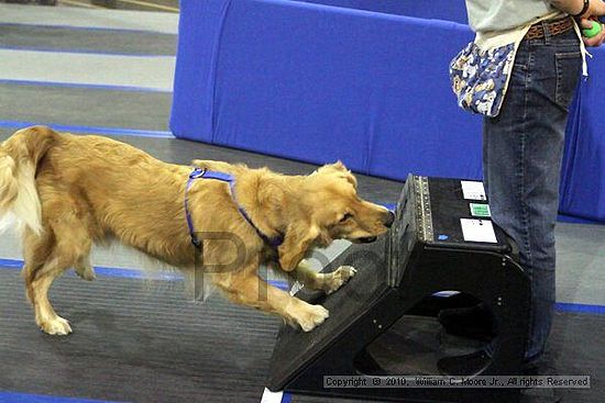 MCRD Unplugged Flyball Tournement<br />March 21st, 2010