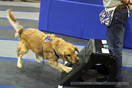 MCRD Unplugged Flyball Tournement<br />March 21st, 2010