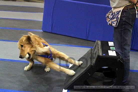 MCRD Unplugged Flyball Tournement<br />March 21st, 2010