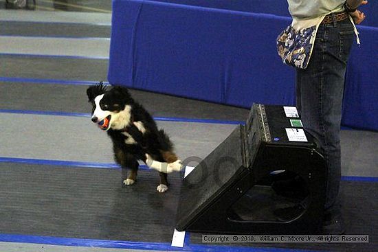 MCRD Unplugged Flyball Tournement<br />March 21st, 2010