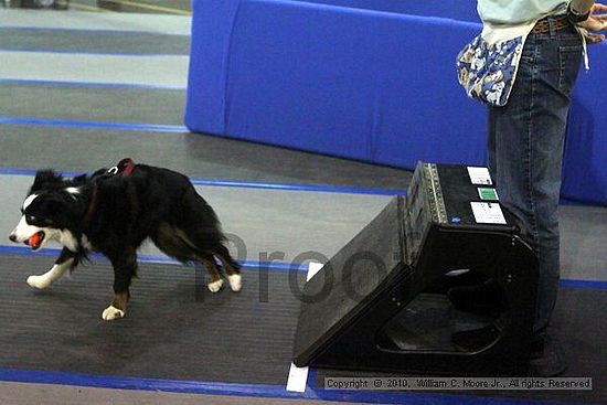 MCRD Unplugged Flyball Tournement<br />March 21st, 2010