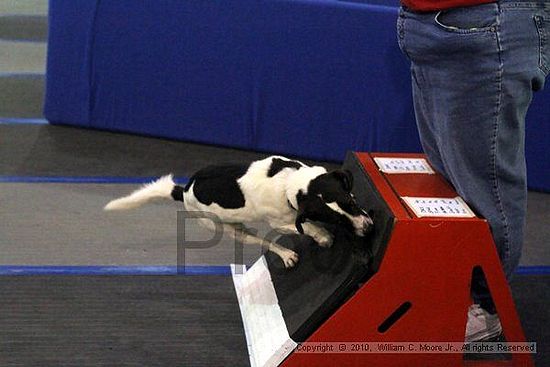 MCRD Unplugged Flyball Tournement<br />March 21st, 2010