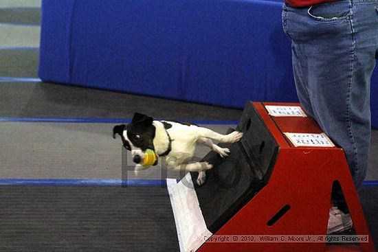 MCRD Unplugged Flyball Tournement<br />March 21st, 2010