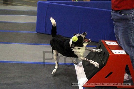 MCRD Unplugged Flyball Tournement<br />March 21st, 2010