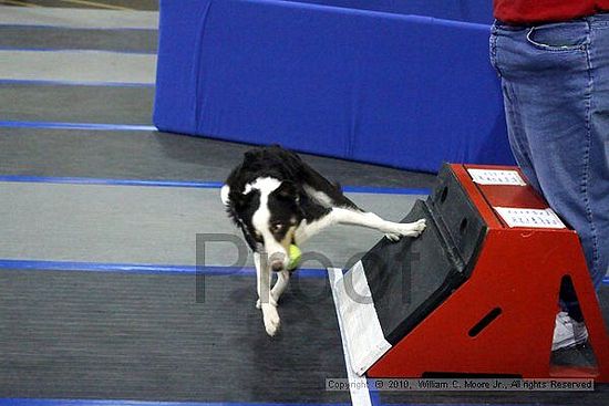 MCRD Unplugged Flyball Tournement<br />March 21st, 2010