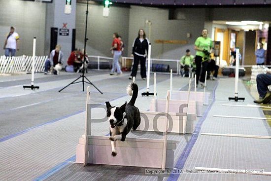 MCRD Unplugged Flyball Tournement<br />March 21st, 2010