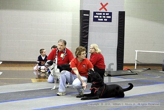 MCRD Unplugged Flyball Tournement<br />March 21st, 2010