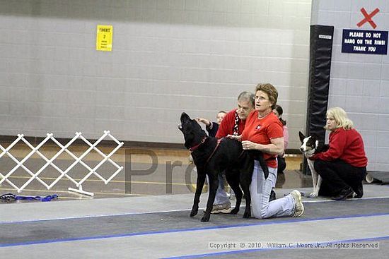 MCRD Unplugged Flyball Tournement<br />March 21st, 2010