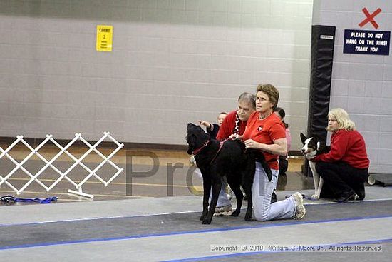 MCRD Unplugged Flyball Tournement<br />March 21st, 2010