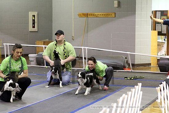 MCRD Unplugged Flyball Tournement<br />March 21st, 2010