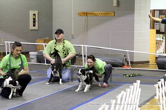 MCRD Unplugged Flyball Tournement<br />March 21st, 2010