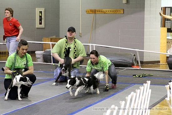 MCRD Unplugged Flyball Tournement<br />March 21st, 2010