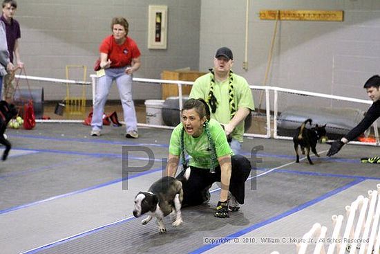 MCRD Unplugged Flyball Tournement<br />March 21st, 2010