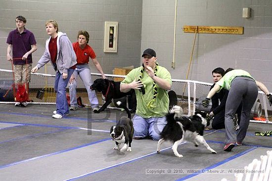 MCRD Unplugged Flyball Tournement<br />March 21st, 2010