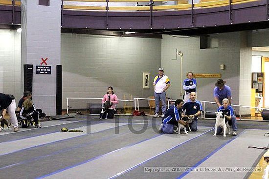 MCRD Unplugged Flyball Tournement<br />March 21st, 2010