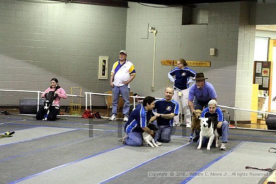 MCRD Unplugged Flyball Tournement<br />March 21st, 2010