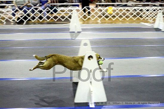 MCRD Unplugged Flyball Tournement<br />March 21st, 2010