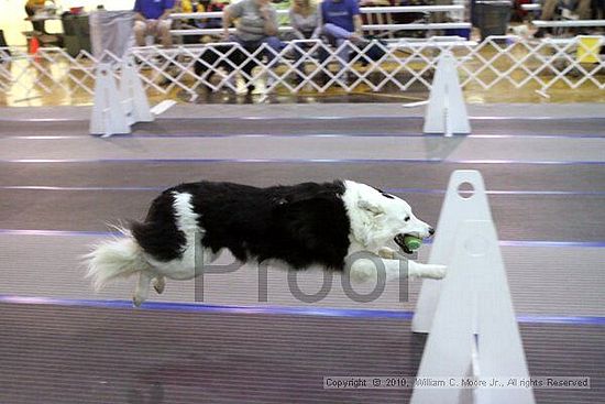 MCRD Unplugged Flyball Tournement<br />March 21st, 2010