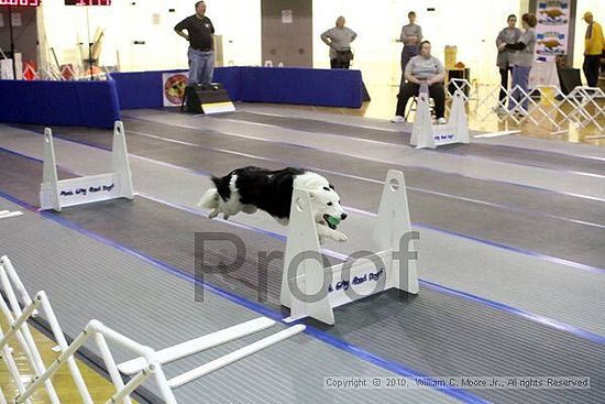 MCRD Unplugged Flyball Tournement<br />March 21st, 2010