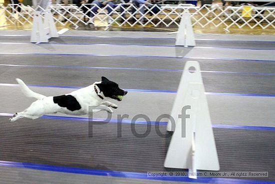 MCRD Unplugged Flyball Tournement<br />March 21st, 2010