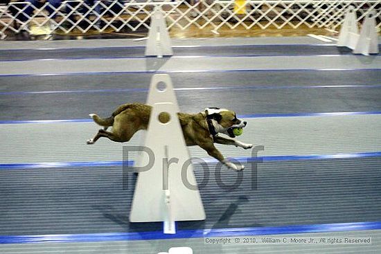 MCRD Unplugged Flyball Tournement<br />March 21st, 2010