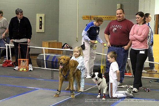 MCRD Unplugged Flyball Tournement<br />March 21st, 2010