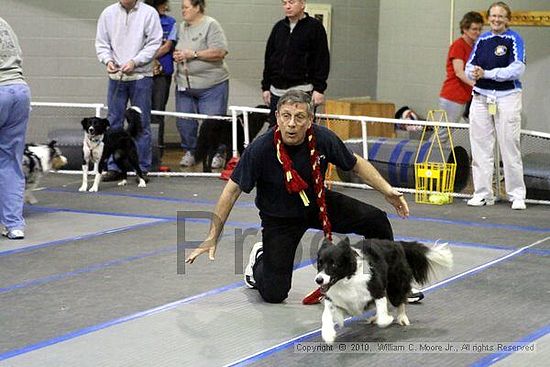 MCRD Unplugged Flyball Tournement<br />March 21st, 2010