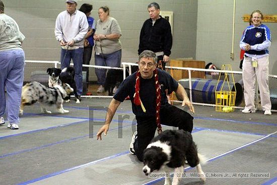 MCRD Unplugged Flyball Tournement<br />March 21st, 2010