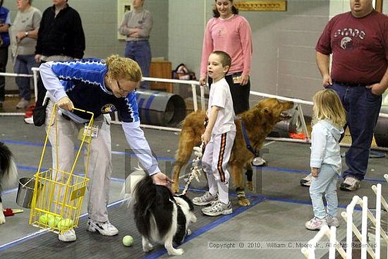 MCRD Unplugged Flyball Tournement<br />March 21st, 2010