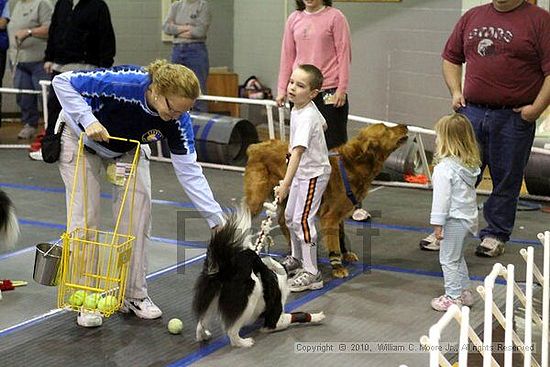 MCRD Unplugged Flyball Tournement<br />March 21st, 2010