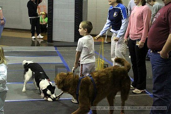 MCRD Unplugged Flyball Tournement<br />March 21st, 2010