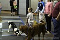 img_3065_thm.jpg