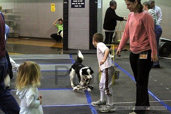 MCRD Unplugged Flyball Tournement<br />March 21st, 2010