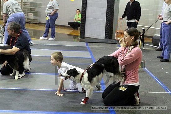 MCRD Unplugged Flyball Tournement<br />March 21st, 2010