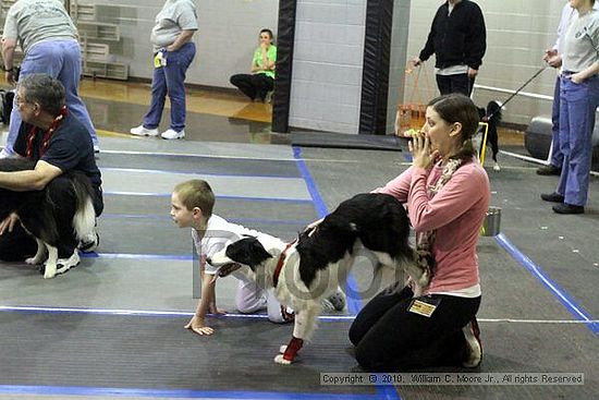 MCRD Unplugged Flyball Tournement<br />March 21st, 2010