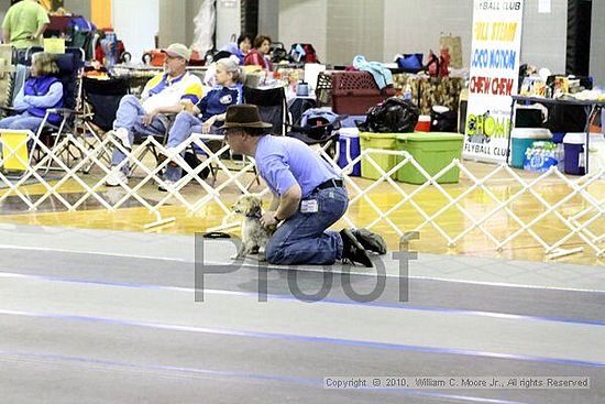 MCRD Unplugged Flyball Tournement<br />March 21st, 2010