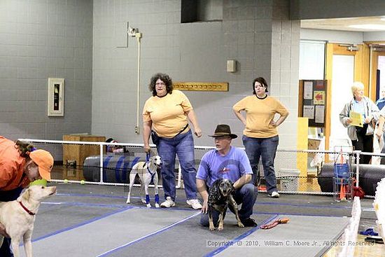 MCRD Unplugged Flyball Tournement<br />March 21st, 2010