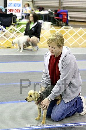 MCRD Unplugged Flyball Tournement<br />March 21st, 2010