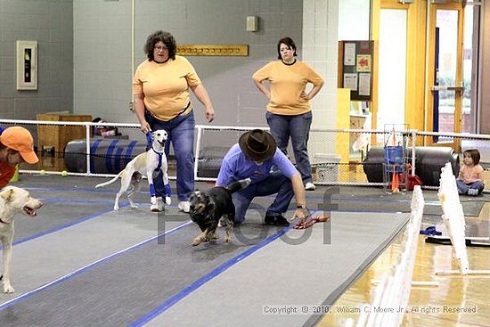 MCRD Unplugged Flyball Tournement<br />March 21st, 2010