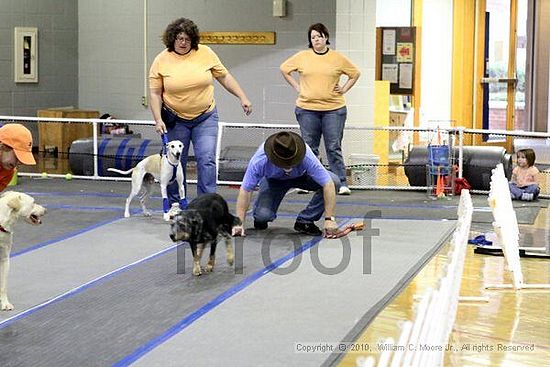 MCRD Unplugged Flyball Tournement<br />March 21st, 2010