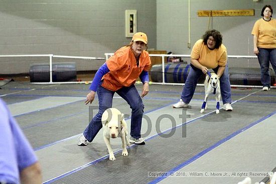 MCRD Unplugged Flyball Tournement<br />March 21st, 2010