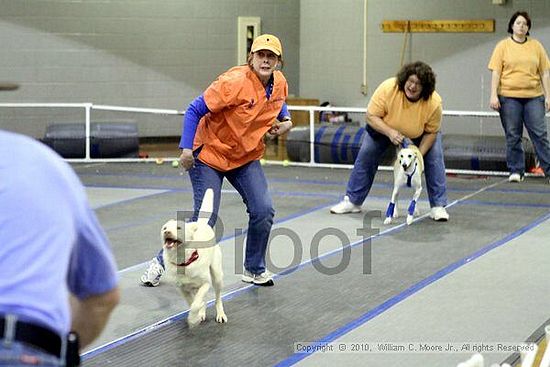 MCRD Unplugged Flyball Tournement<br />March 21st, 2010