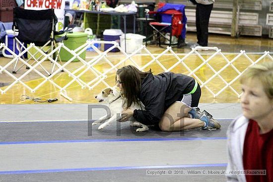 MCRD Unplugged Flyball Tournement<br />March 21st, 2010