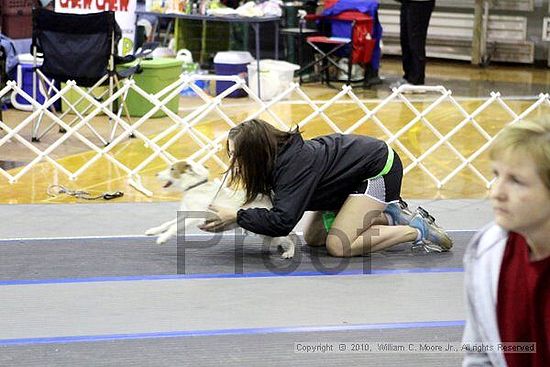 MCRD Unplugged Flyball Tournement<br />March 21st, 2010